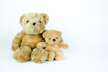 Two brown bear dolls. Bear family. White background.