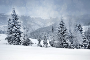 Fototapeta na wymiar Winter landscape with snowy trees and snowflakes