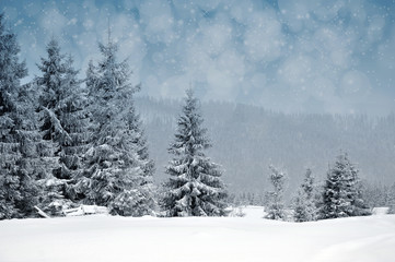 Winter landscape with snowy trees and snowflakes