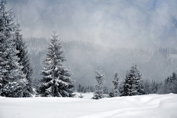 Winter landscape with snowy trees and snowflakes