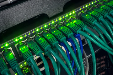 Close up of green network cables connected to switch glowing