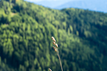 Landschaft