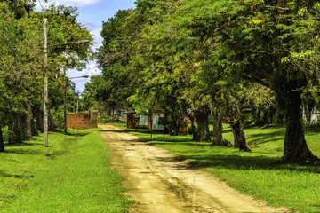 Fototapeta na wymiar Plantation Katwijk in Surinam