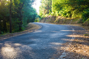 Fototapeta premium mountain way in summer