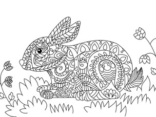 Rabbit coloring vector for adults
