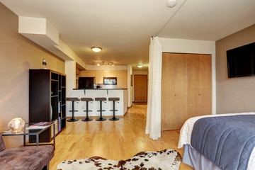 Fototapeta na wymiar Apartment interior with minimalist design