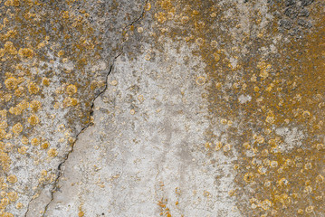 cracks in old concrete wall, abstract concrete, weathered with cracks and scratches, landscape style, grunge concrete surface, great background or texture