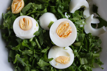 Horse-chestnuts on yellow autumn fall maple leaves
