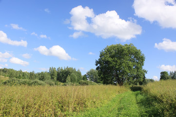 Fototapeta na wymiar Beautiful landscape in Latvia
