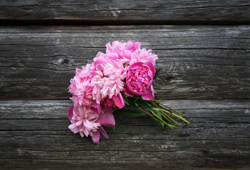 Blooming peony flowers on the wooden wall