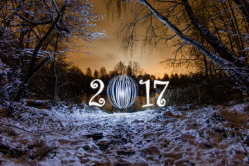 2017 New Year greeting card with night forest 