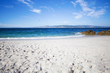 wild beach in summer