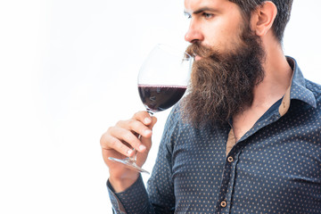 bearded man with wine