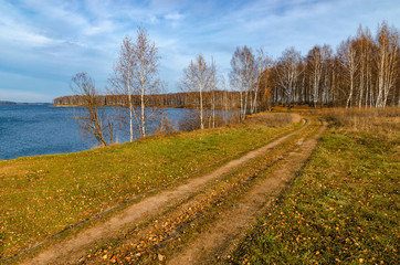 Fototapeta premium Golden autumn landscape