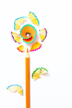 pencil flower on white