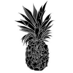 Pineapple tropical fruit. Vector object.
