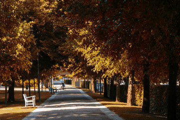 Park im Herbst