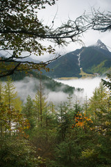 Fototapeta na wymiar peaceful Tatra mountain view through pine forest and tree branches - Polish beautiful landscape