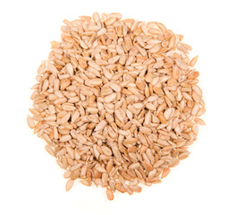 Fried sunflower seeds isolated on white.