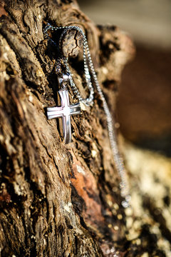 Silver cross on tree trunk