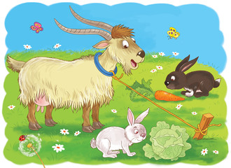 Obraz na płótnie Canvas At the farm. Cute domestic animals. a funny goat looking at the rabbits eating carrots and cabbages. Illustration for children. Coloring book. Coloring page. Funny cartoon characters.