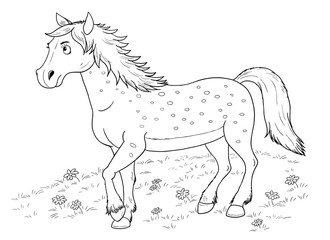 At the farm. Cute domestic animals. Illustration of beautiful horse running in the meadow. Illustration for children. Coloring book. Coloring page. Funny cartoon characters.
