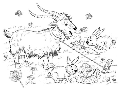 At the farm. Cute domestic animals. a funny goat looking at the rabbits eating carrots and cabbages. Illustration for children. Coloring book. Coloring page. Funny cartoon characters.