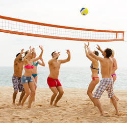 Friends playing volleyball