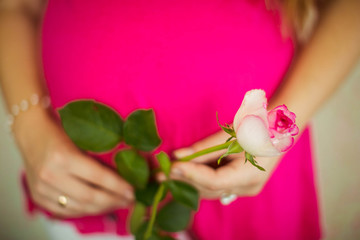 nice and gentle pregnant belly and white rose