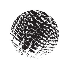 crocodile black frame