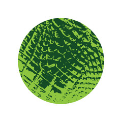 crocodile texture frame