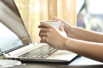 Obraz na płótnie Canvas Girl hands with coffee watching laptop