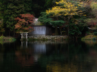 Obraz premium torii gates in autumn season at Kirinko Lake Yufuin,Japan