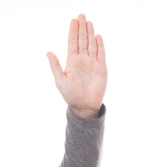 Obraz premium Man hand sign isolated on white background