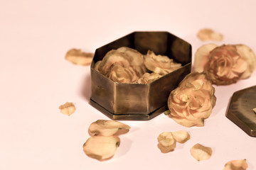 Dead Flower Petals with a Gift, Begonia
