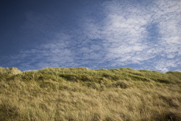 Obraz premium Blick auf Düne