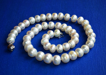 Нитка жемчуга на синем фоне/String of Pearls on a blue background