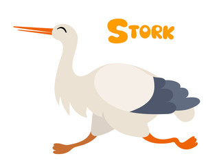 Vector letter S stork bird for children alphabet cute animal illustration