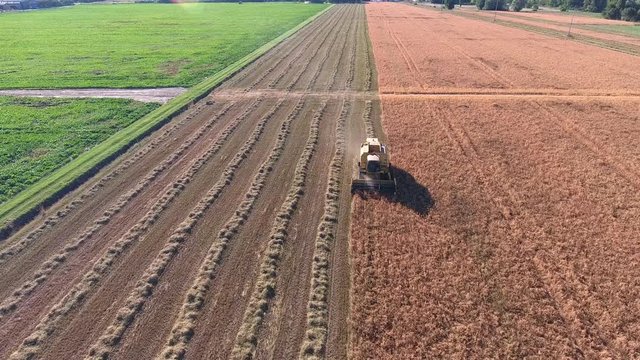 Aerial view of a tractor in a field.