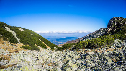 Aerial View From The Mountain