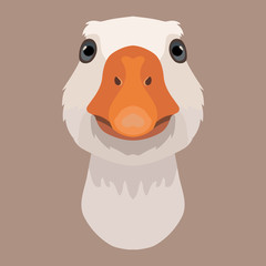 Vector goose face farm animal zoo icon head portrait © Sunny_nsk