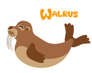 Vector letter W walrus for children alphabet cute animal illustration
