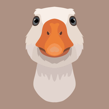 Vector goose face farm animal zoo icon head portrait