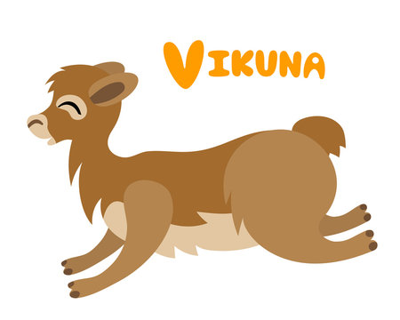 Vector letter V vicuna for children alphabet cute animal illustration