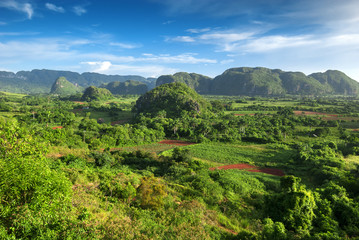Fototapeta na wymiar landscape of valley of Vinales,Cuba