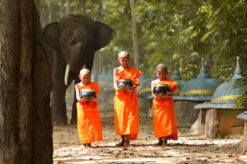 Elephant and Monk vintage style,Surin Thailand