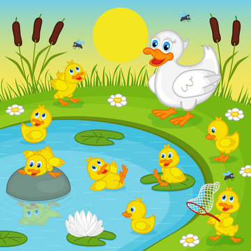 ducklings with mother duck playing in lake - vector illustration, eps