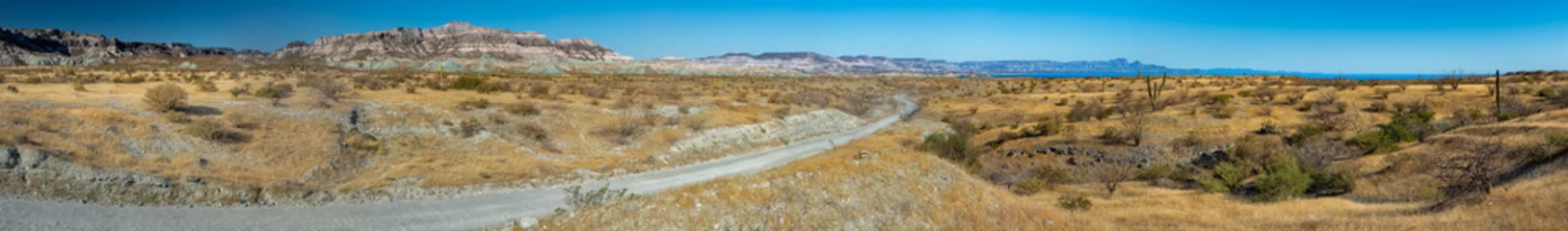 Deurstickers baja californië landschap panorama woestijn weg © Andrea Izzotti
