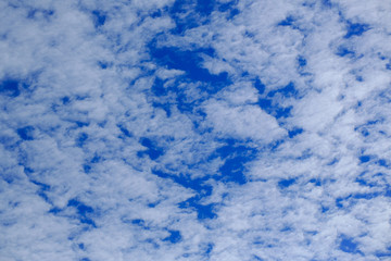 blue sky with white clouds