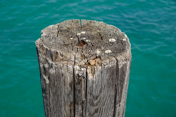 Old pier poles